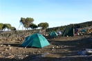 Kilimanjaro 14_8
